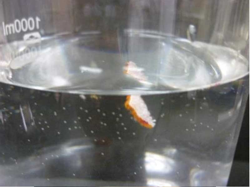 試驗(yàn)片開始沉降